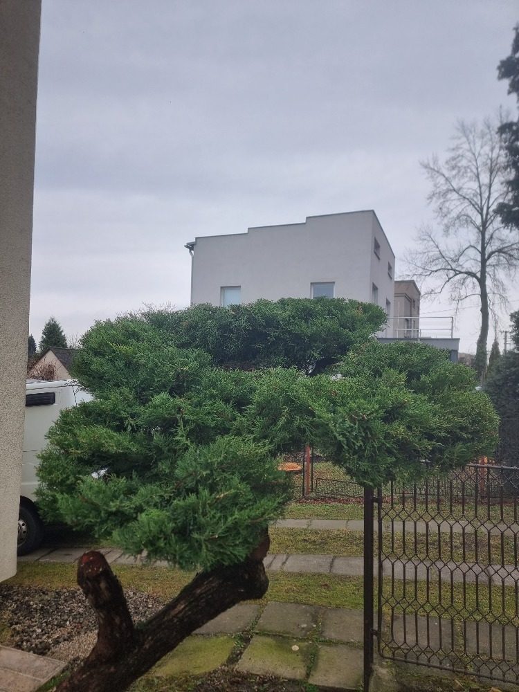 Práce na zeleni před sezonou