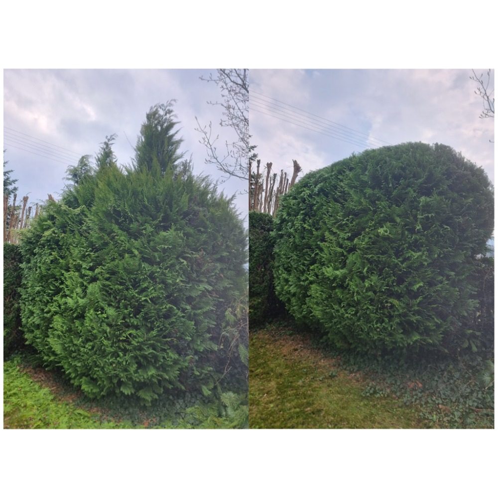 Koláž realizací údržby zeleně
