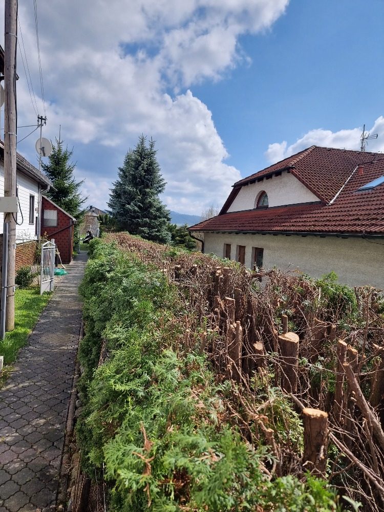 Ukázka realizace údržby zeleně