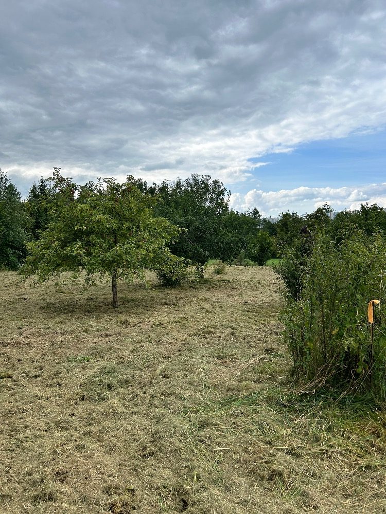 Hotový výsledek údržby