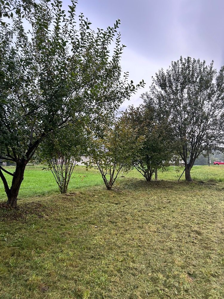 Údržba zahrady